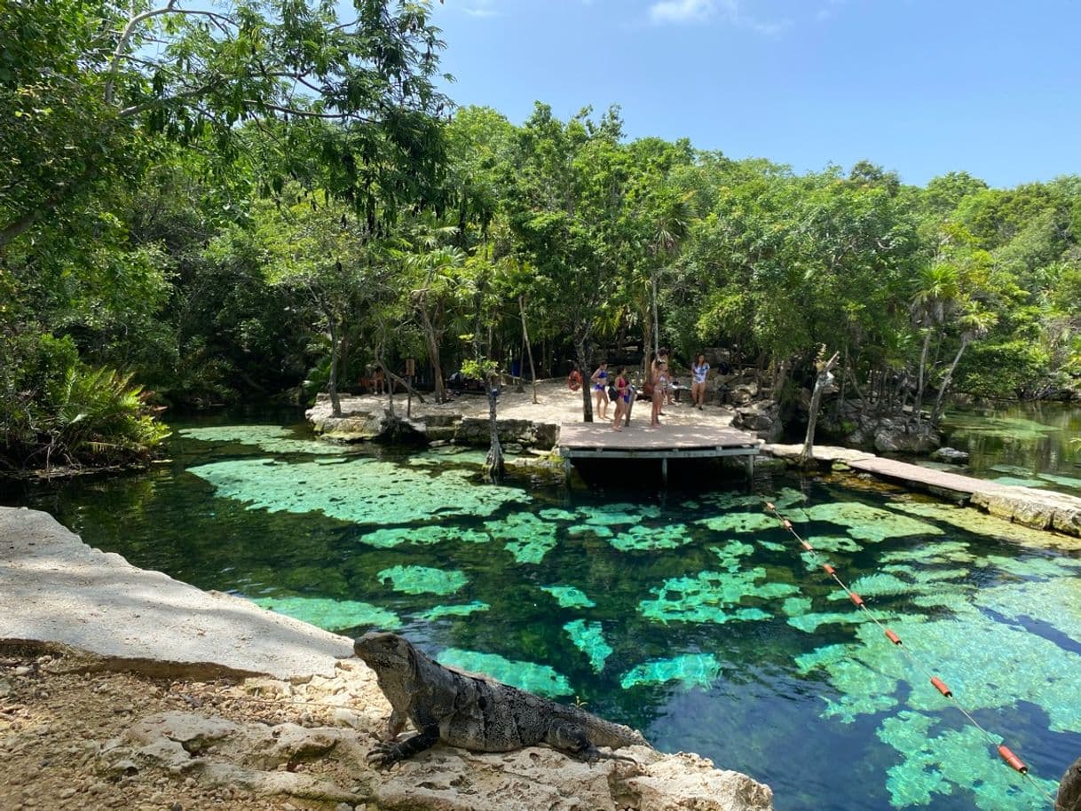 Lugar Cenote Azul