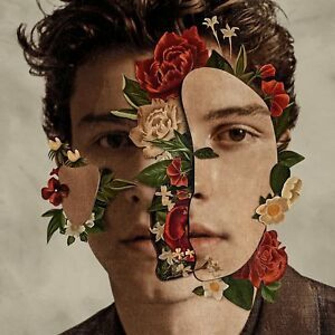 Music Shawn Mendes - In My Blood