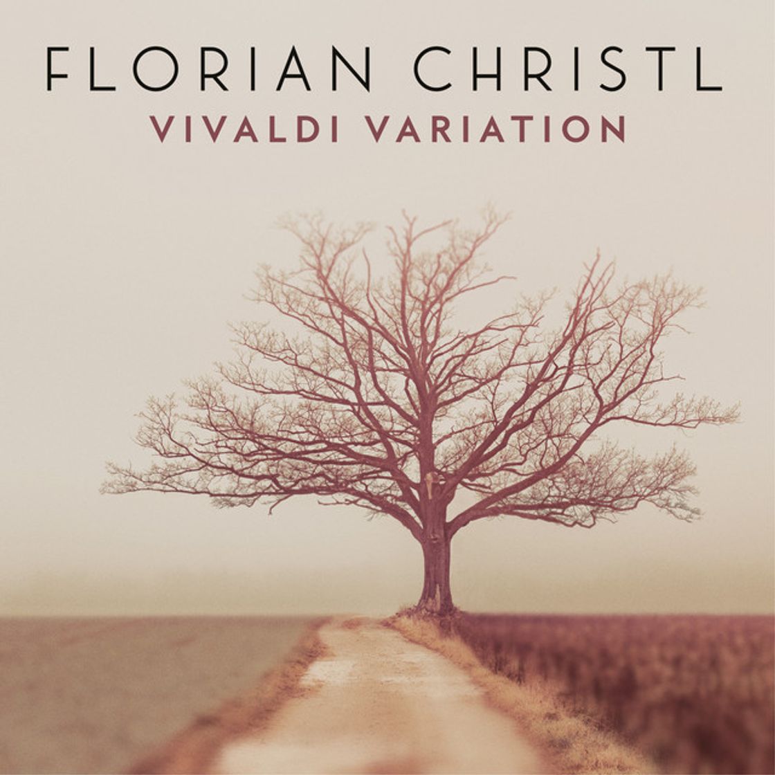 Canción Vivaldi Variation (Arr. for Piano from Concerto for Strings in G Minor, RV 156)