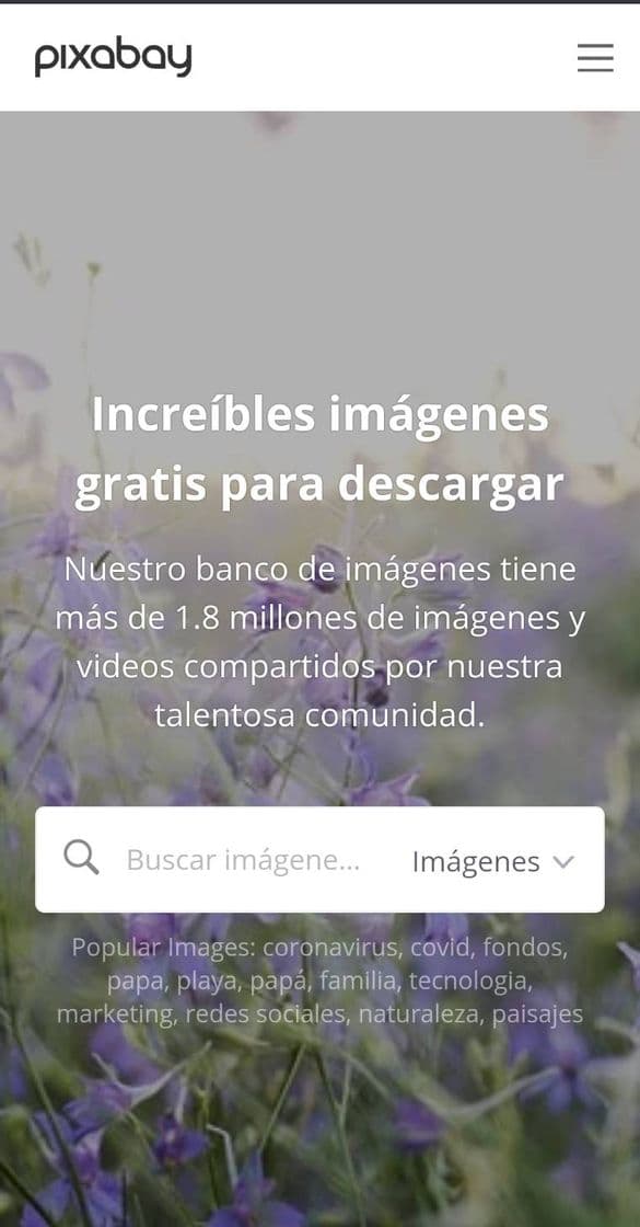 App Una app que te brinda miles de imágenes