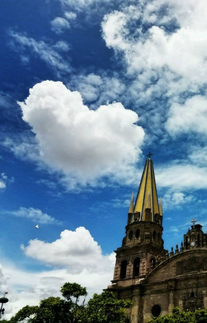 Place Catedral de Guadalajara