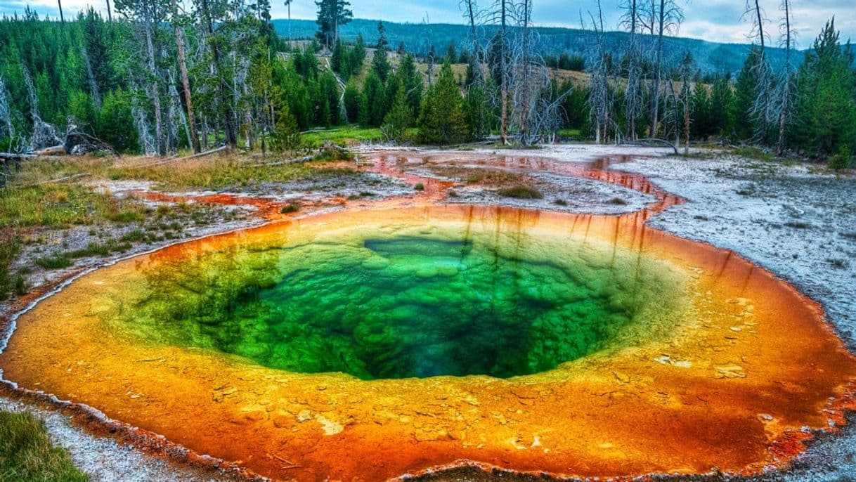 Place Parque Nacional Yellowstone