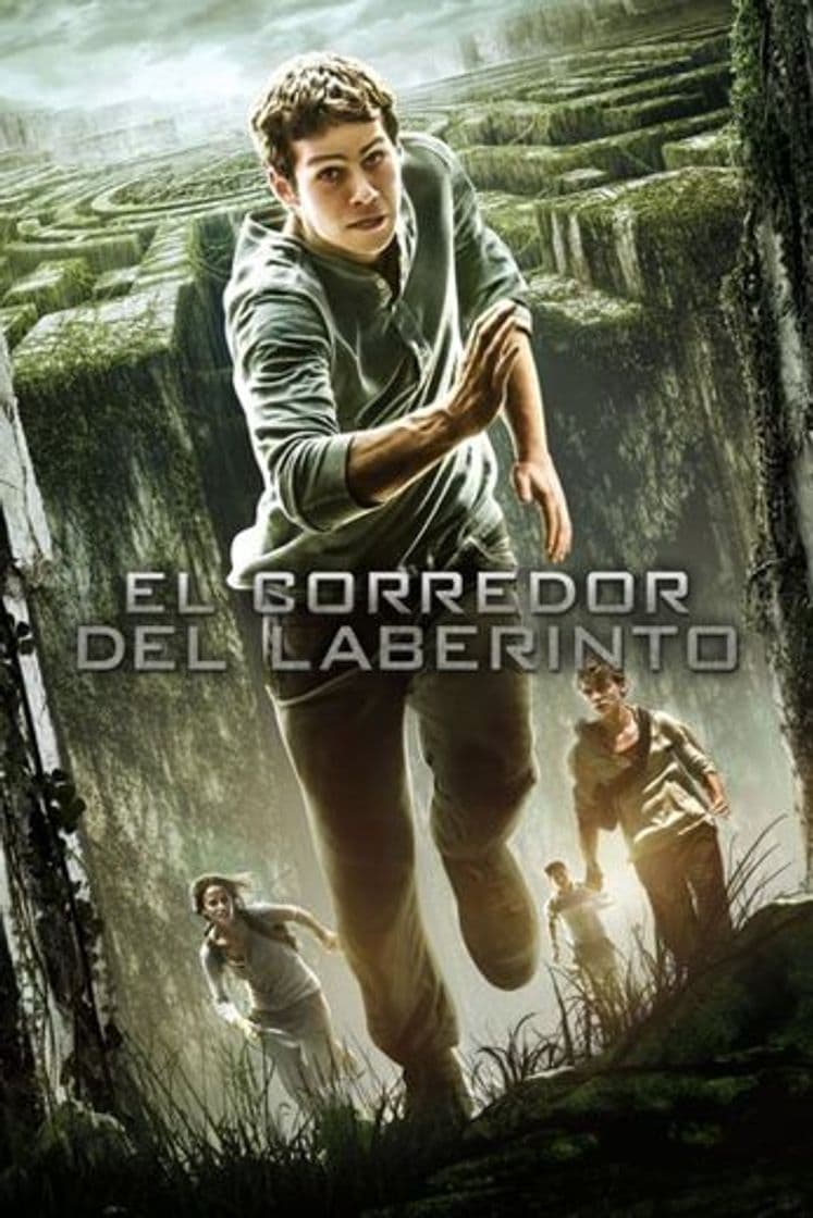 Movie The Maze Runner