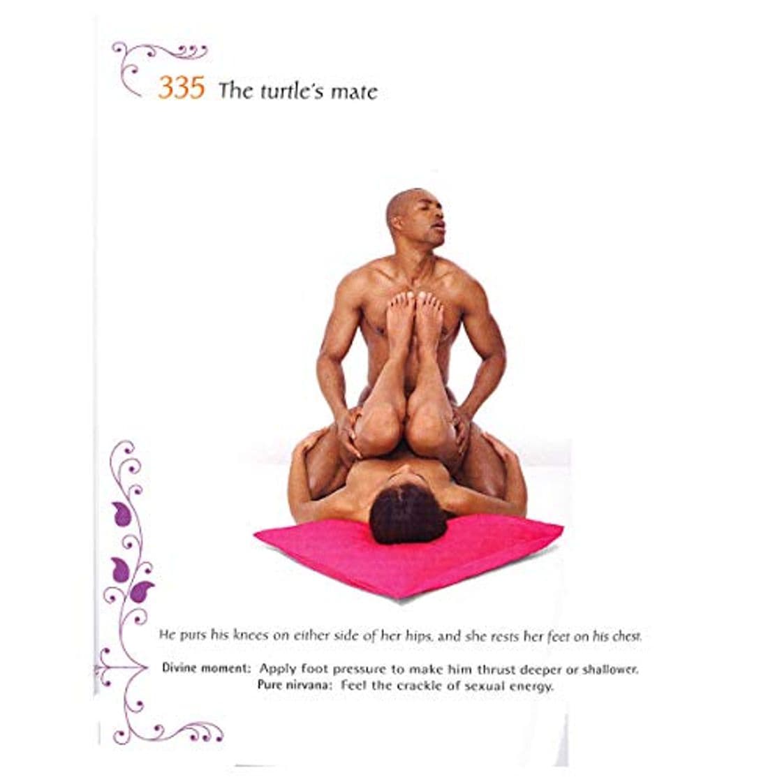 Libro Kamasutra 365 days : 1 year positions