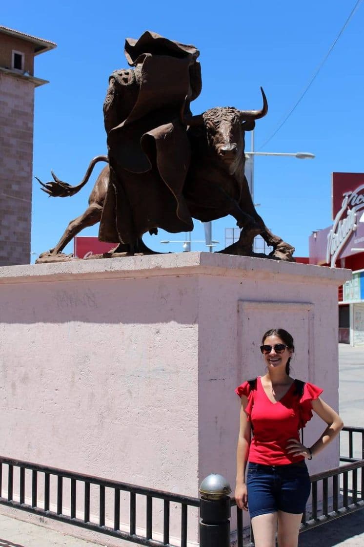 Lugar Plaza de Toros Monumental de Aguascalientes