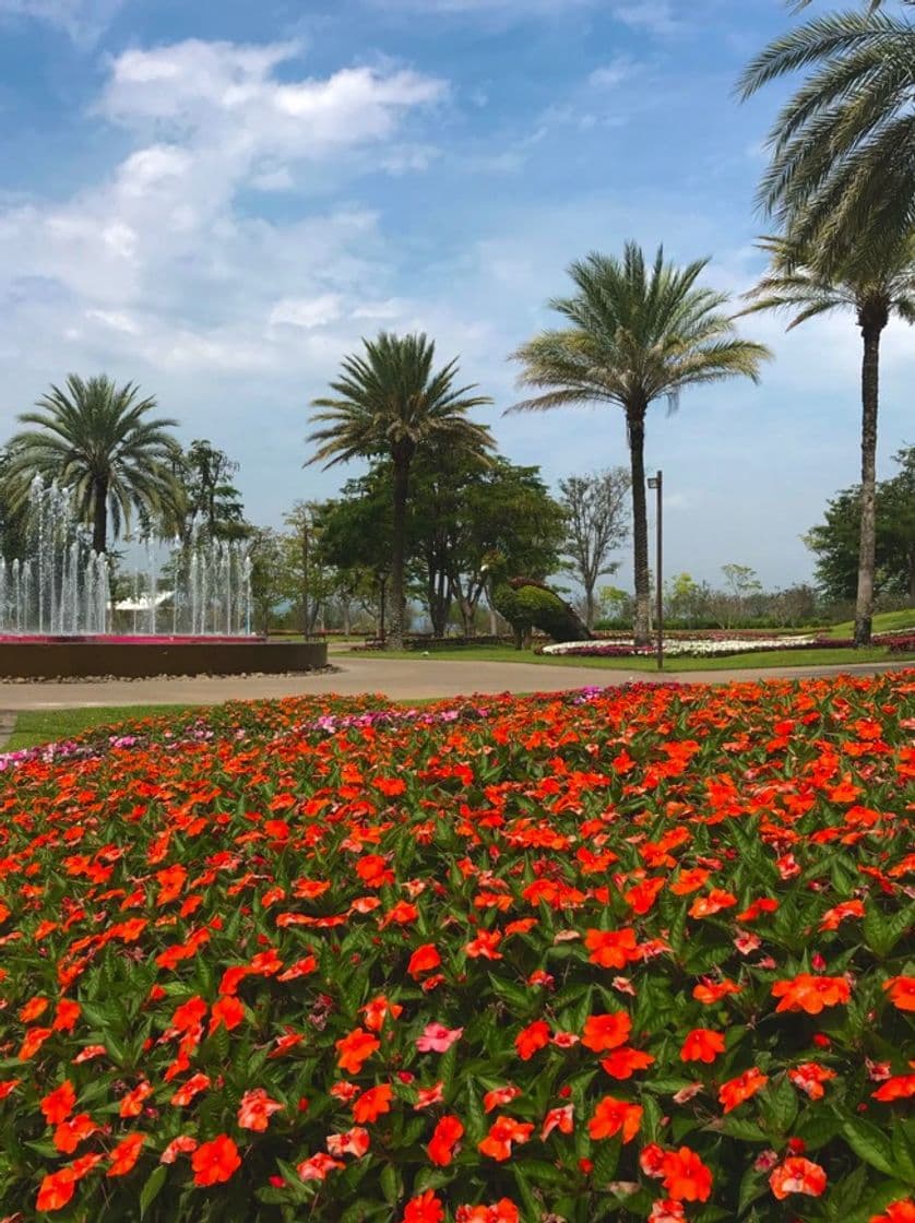 Lugar Jardines de México