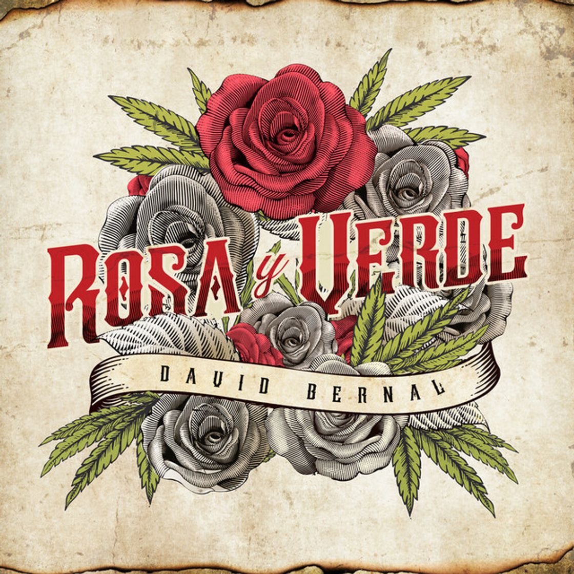 Music Rosa y Verde