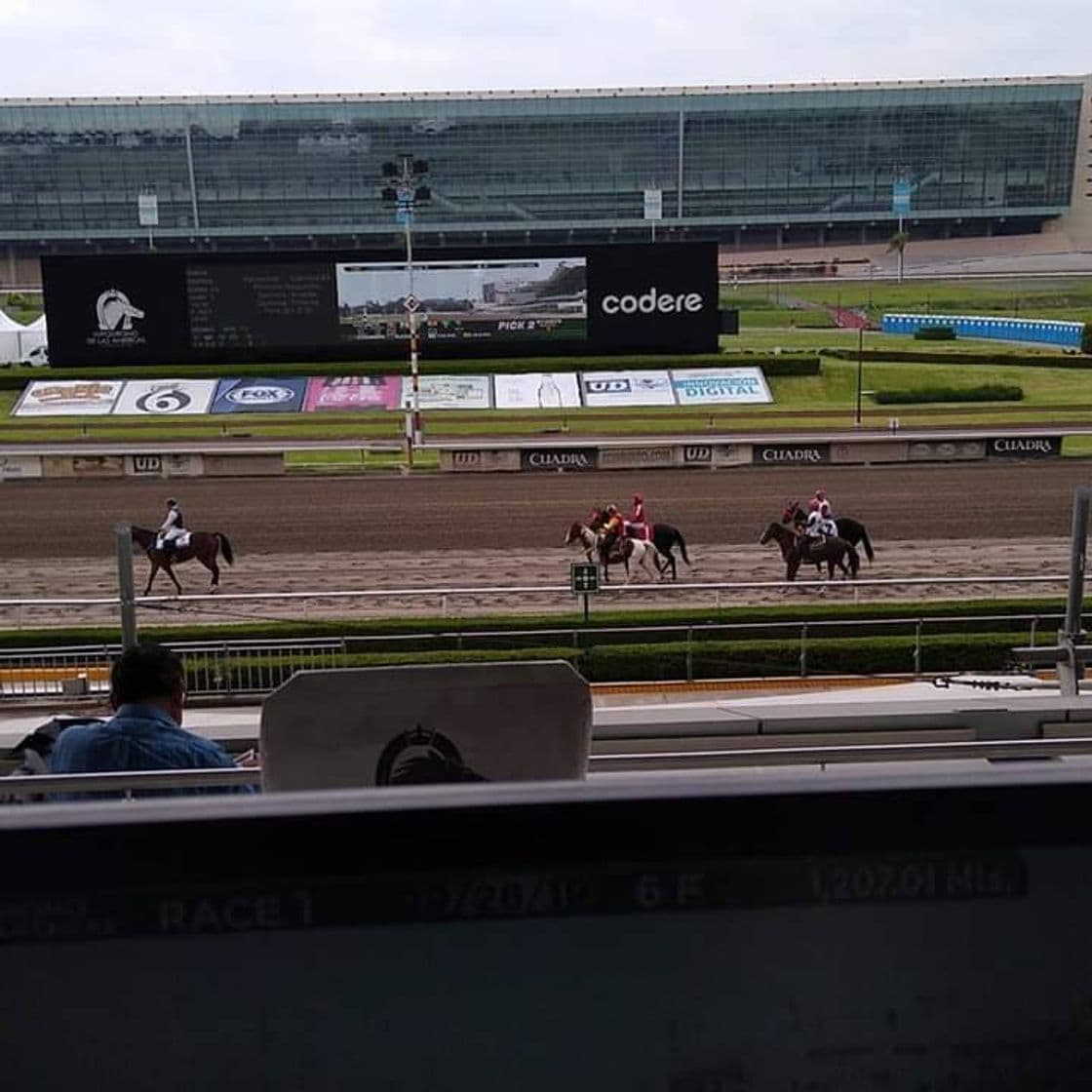 Lugar Hipódromo de Las Américas