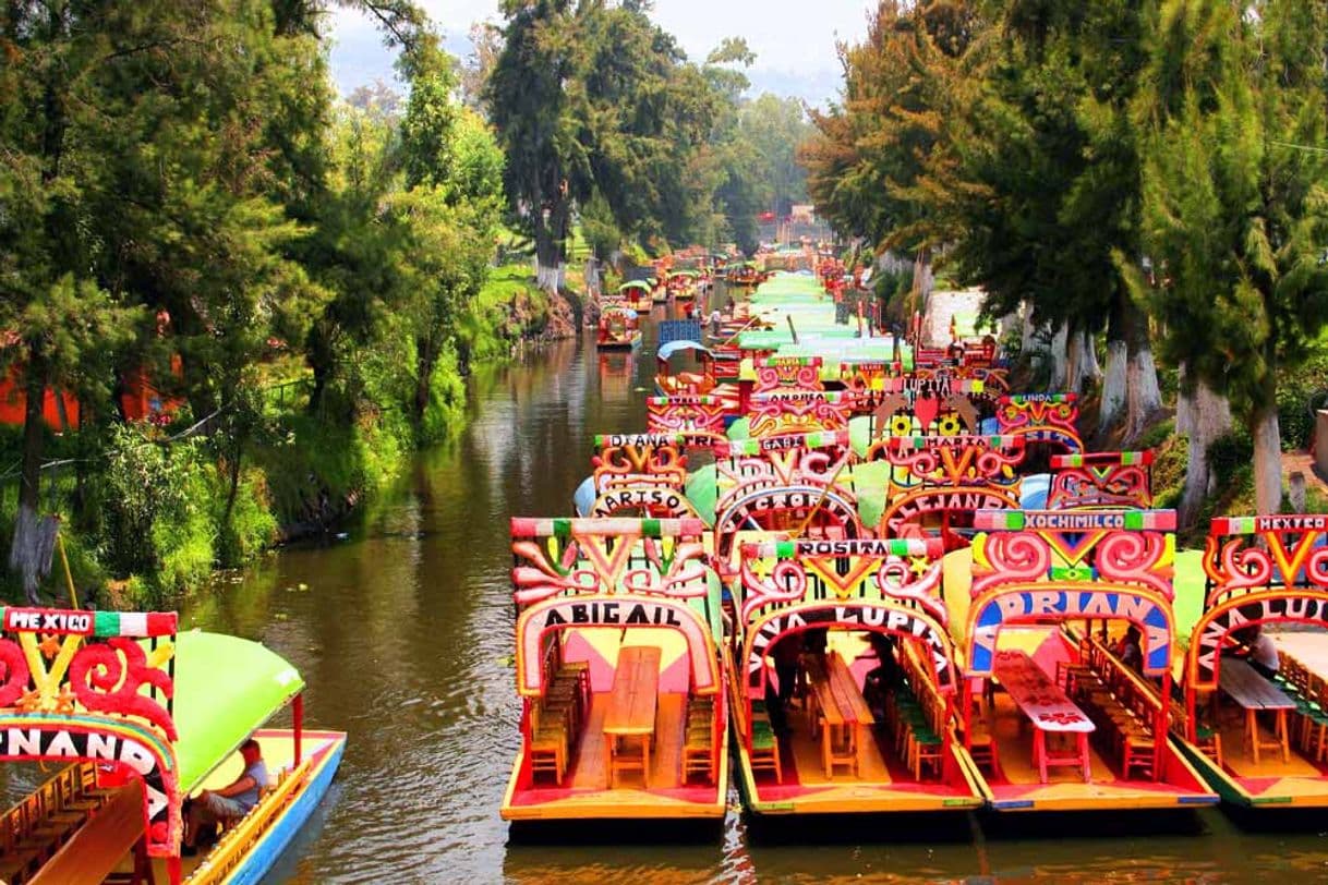 Lugar Trajineras Xochimilco Mágico