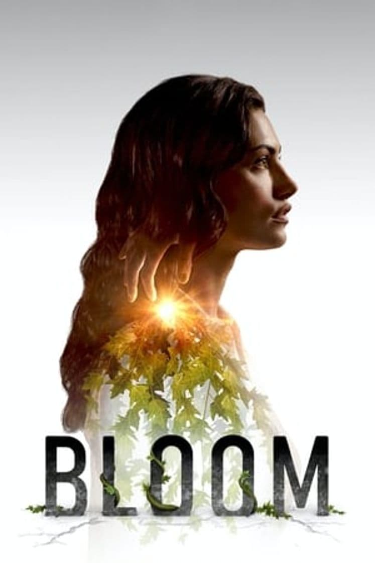 Serie Bloom