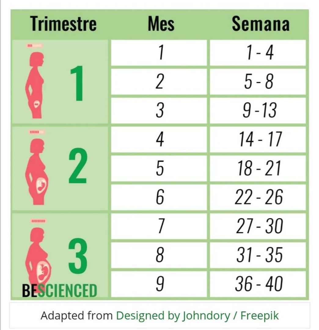 Fashion ¿Cómo calcular de cuantos meses, semanas y trimestres de ...