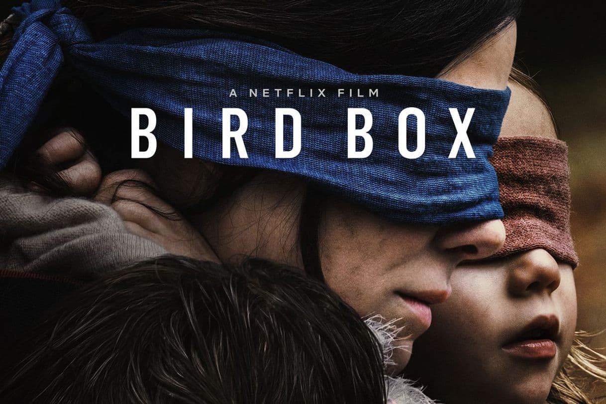 Película Bird Box