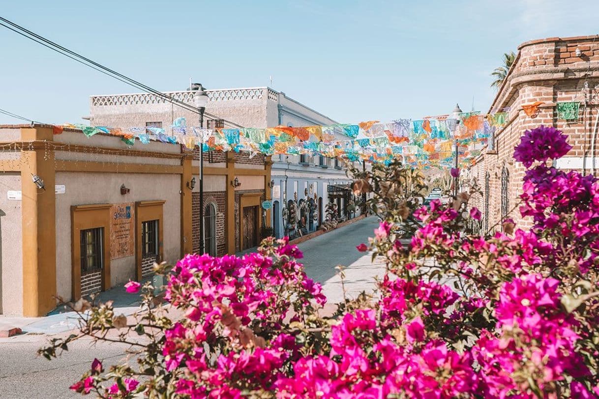 Lugar Todos Santos