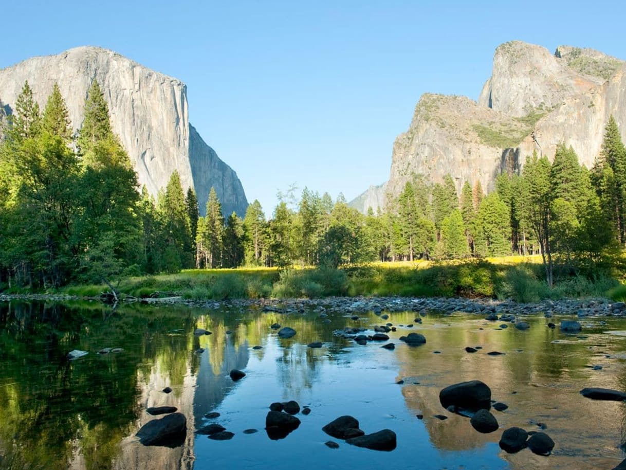 Place Yosemite