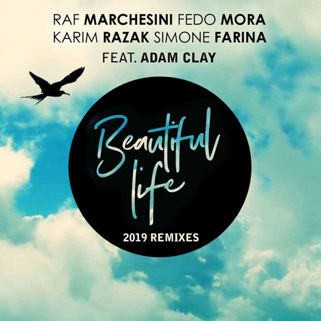 Canción Beautiful Life - Original 2019 Rework