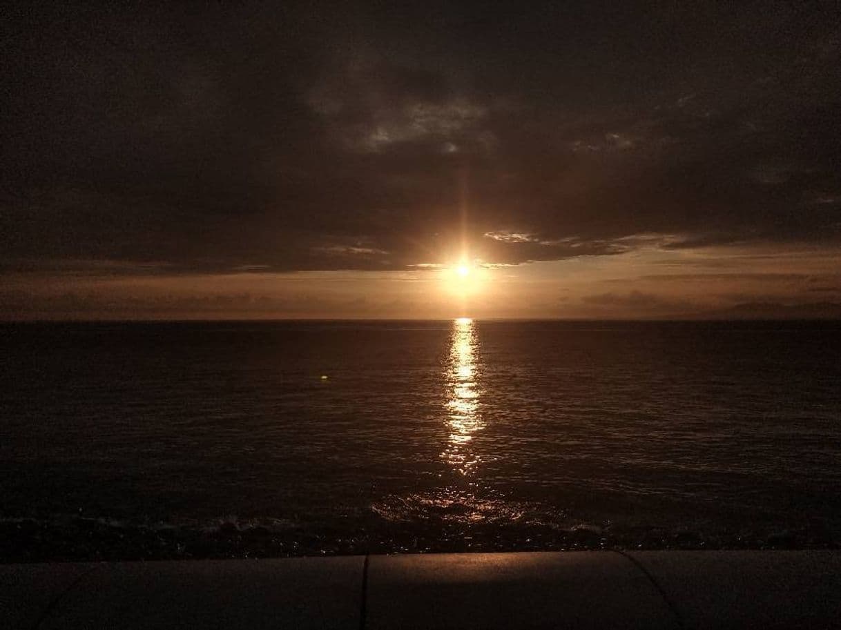 Lugar Puerto vallarta malecon