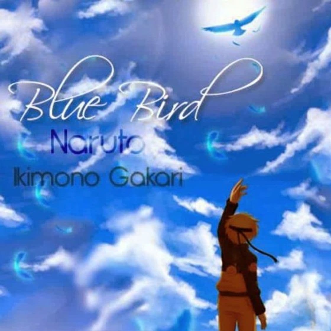 Music Blue Bird - Ikimono Gakari