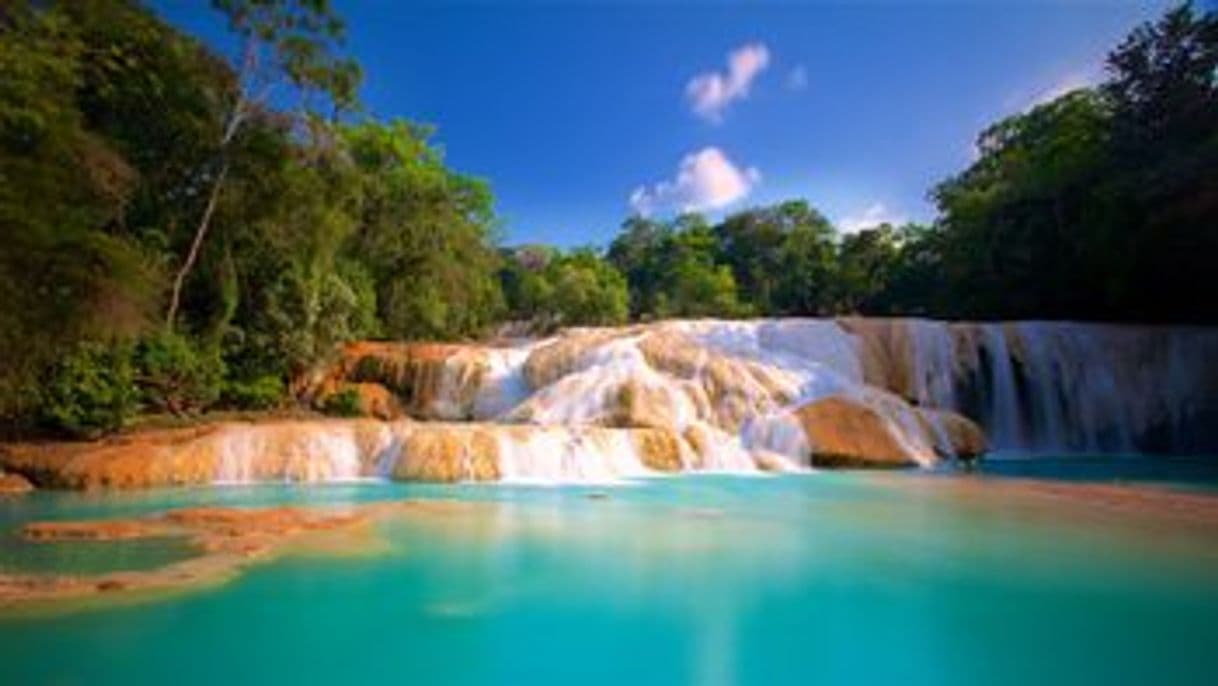 Place Cascadas Agua Azul