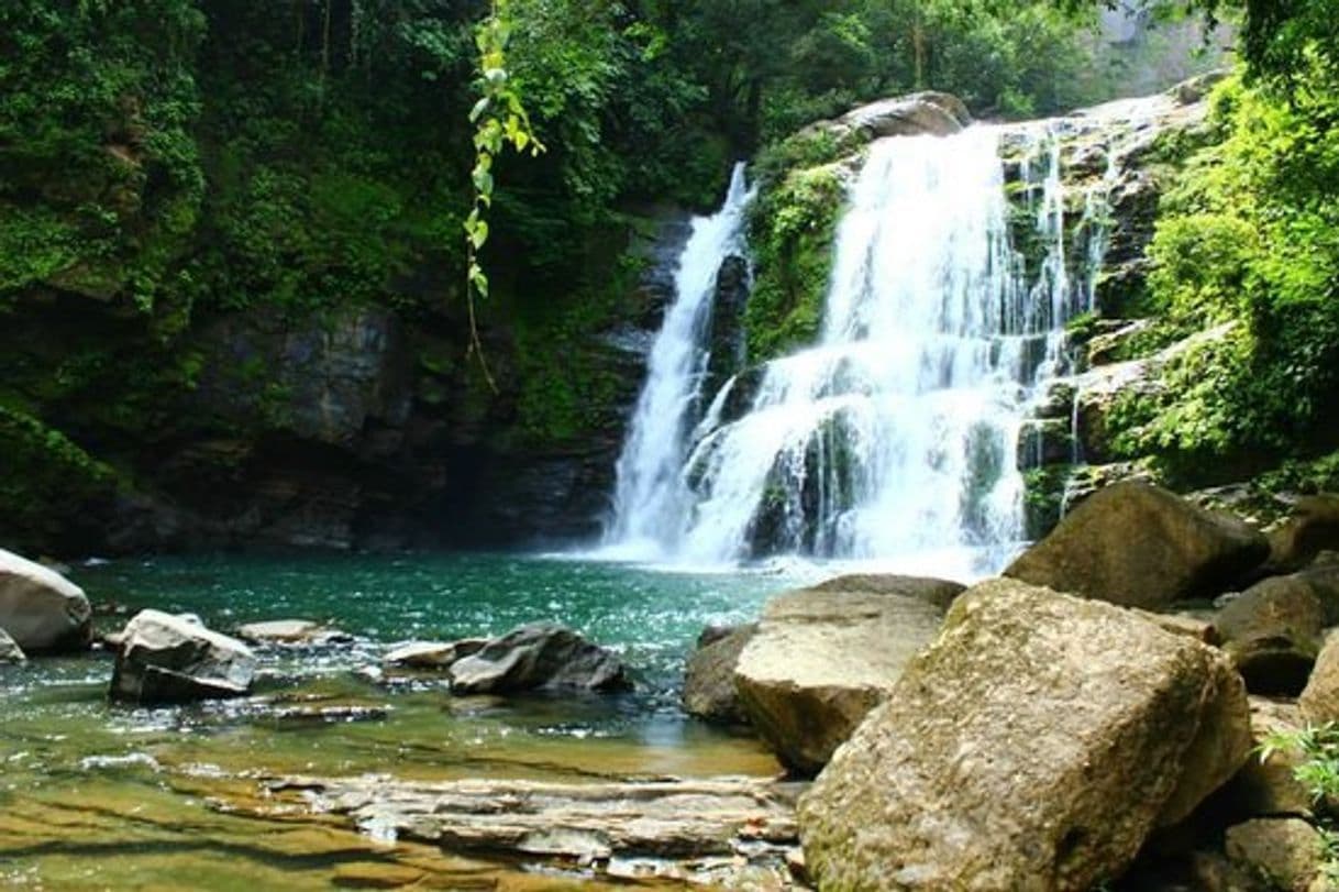 Restaurants Nauyaca Waterfall Nature Park