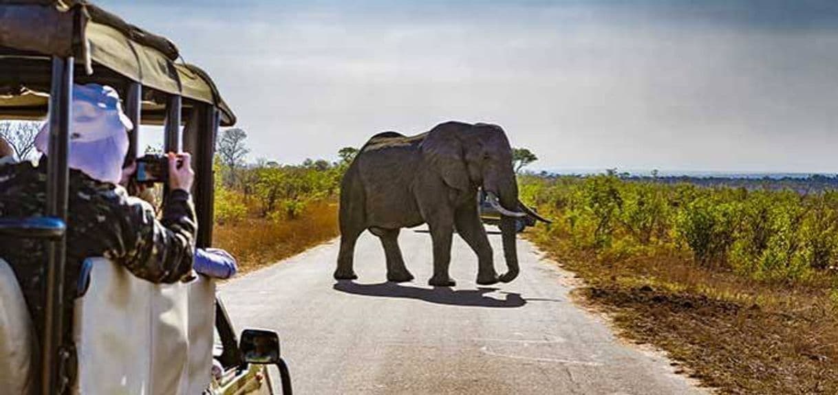 Place Parque nacional Kruger