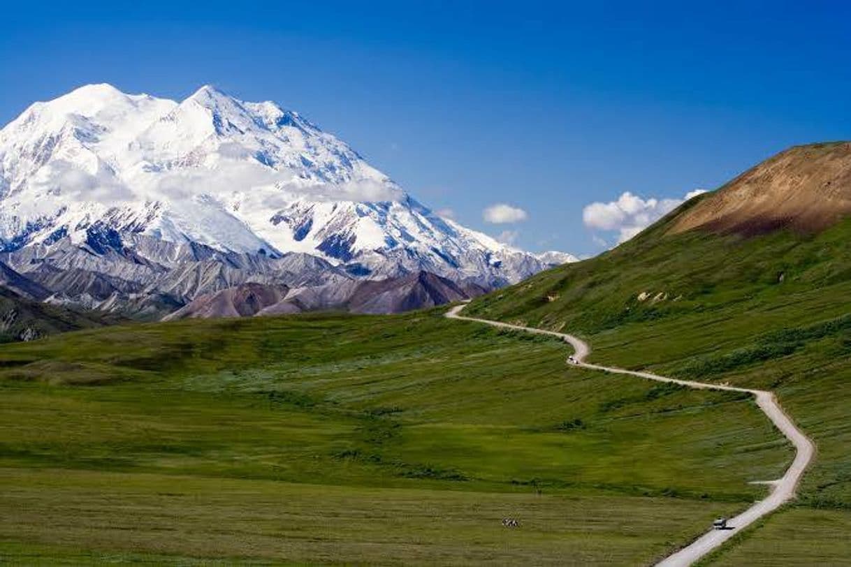 Place Parque Nacional e Reserva de Denali