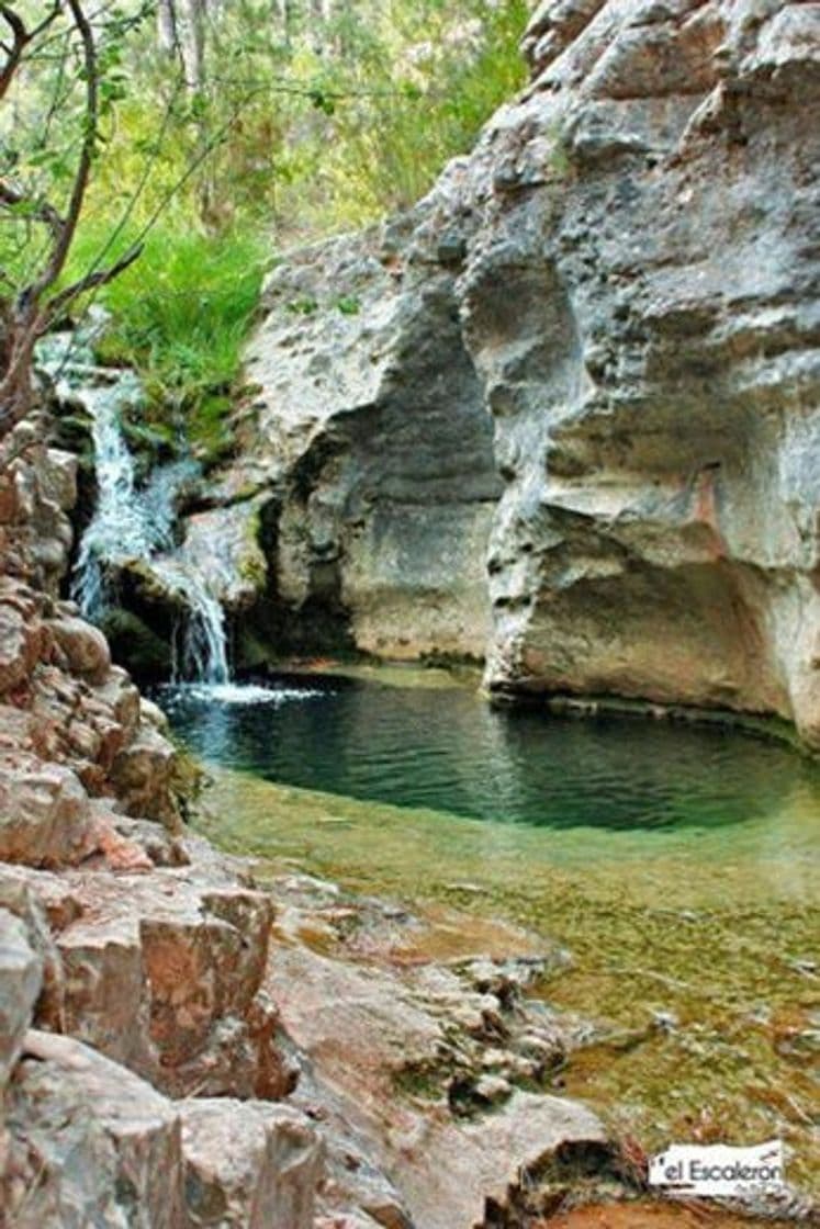 Place El Arroyo de la Madera 