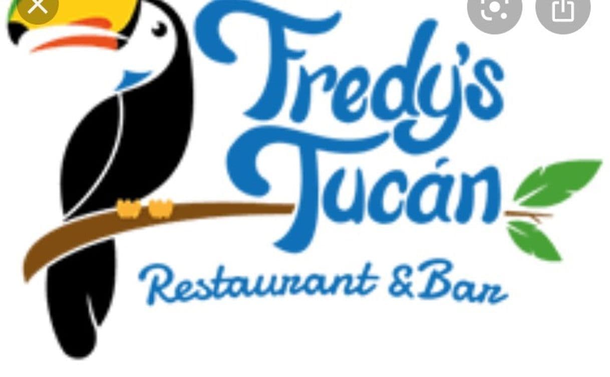 Restaurantes Fredy's Tucan