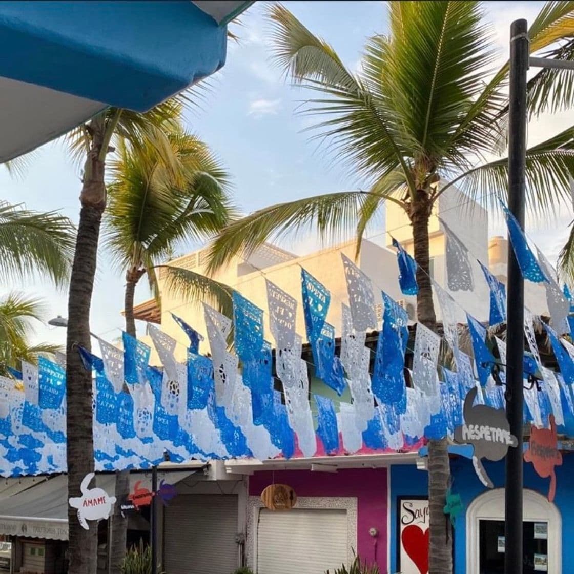 Lugar Hotel Colores Sayulita