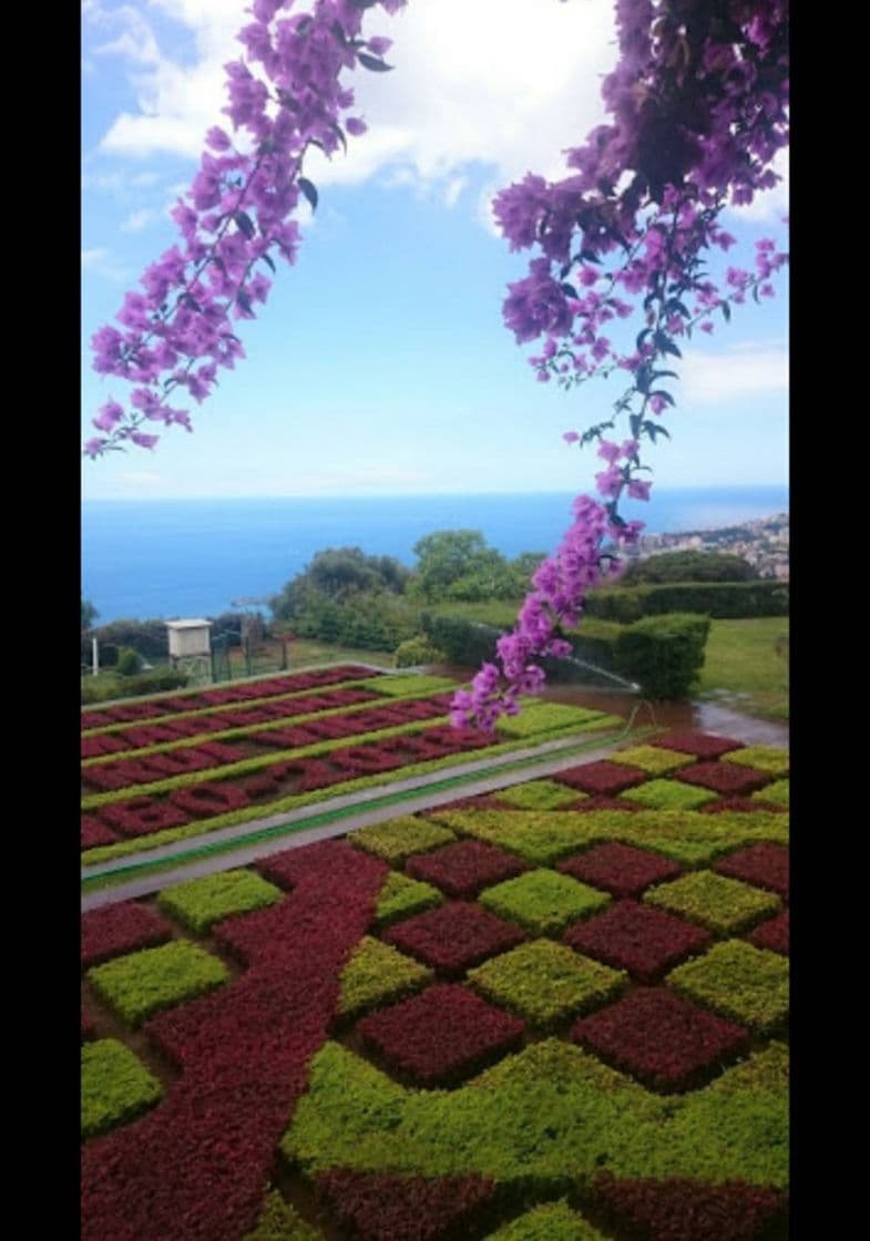 Lugar Jardín Botánico de Madeira