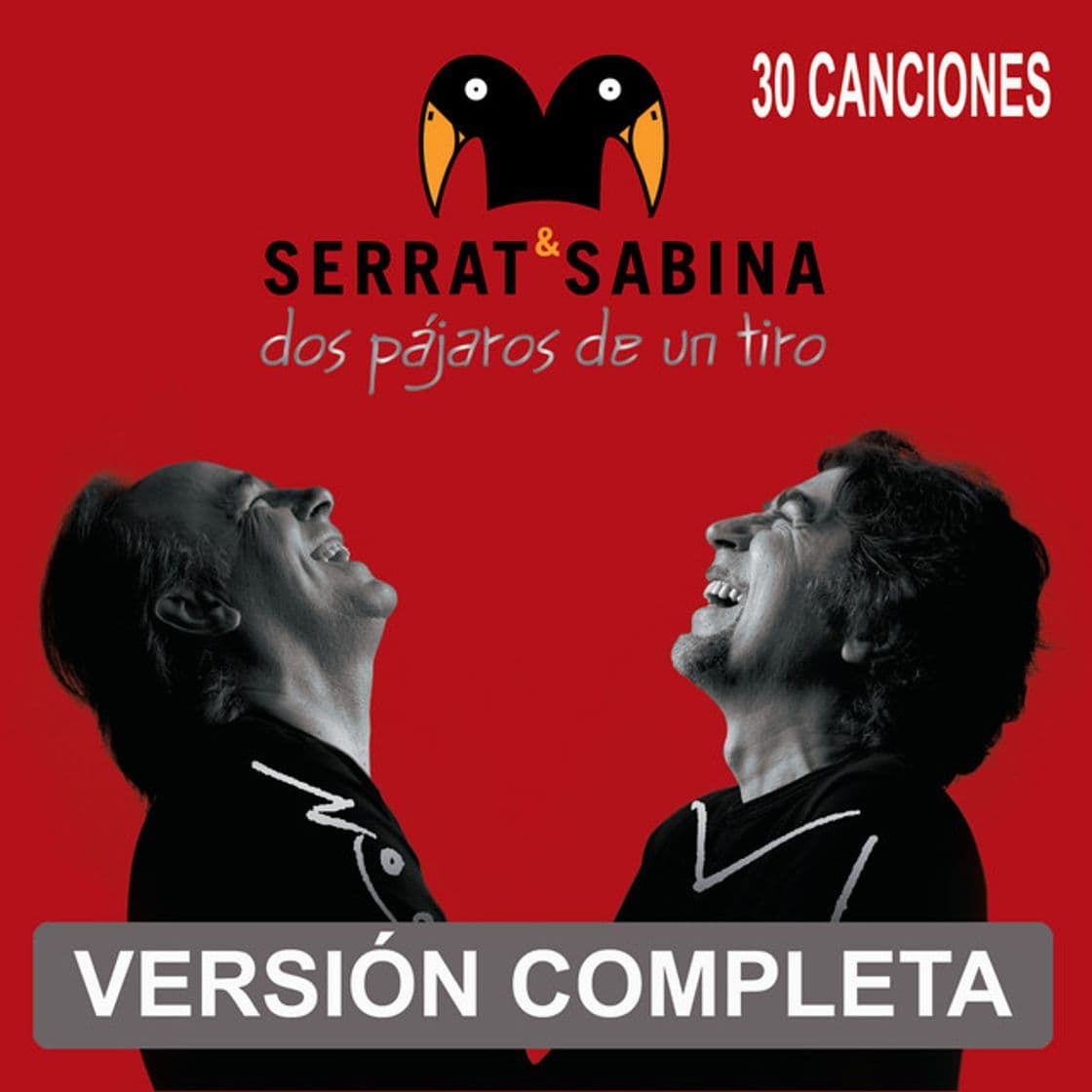 Canción 19 Dias y 500 Noches