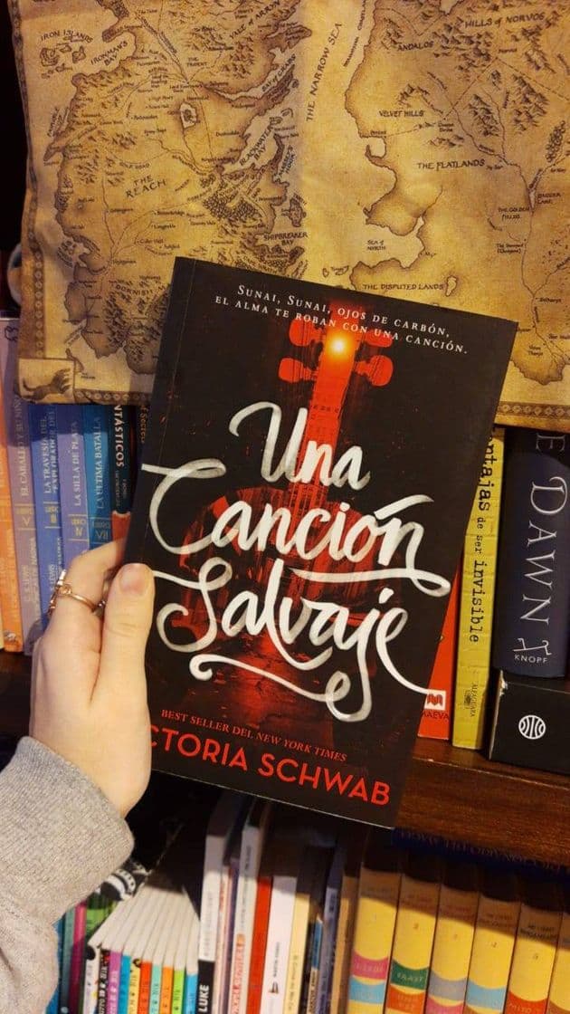 Book Una canción salvaje