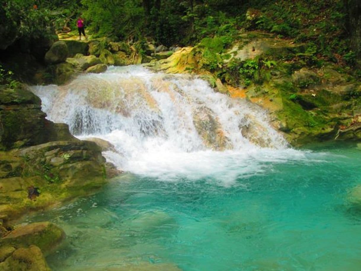 Lugar La Estanzuela Monterrey Natural Park