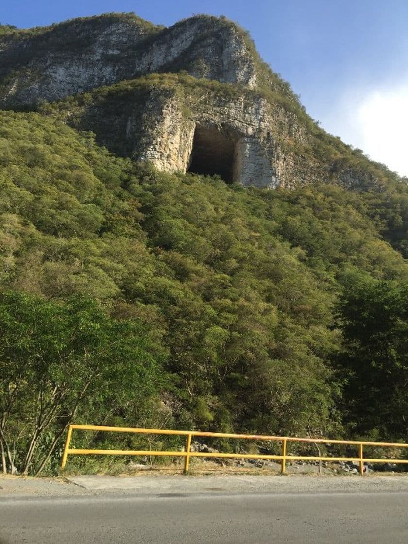 Lugar Cueva De Los Murcielagos