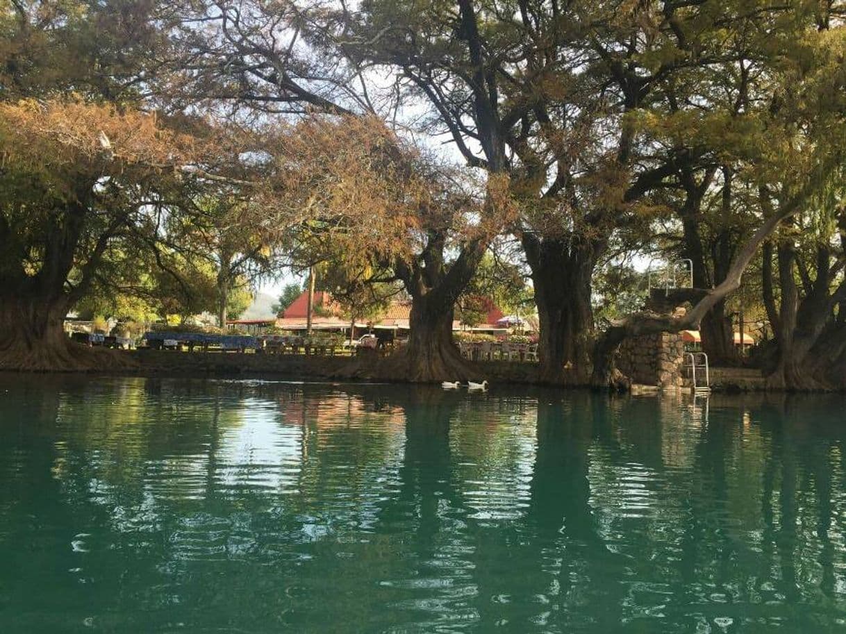 Lugar Lago de Camécuaro