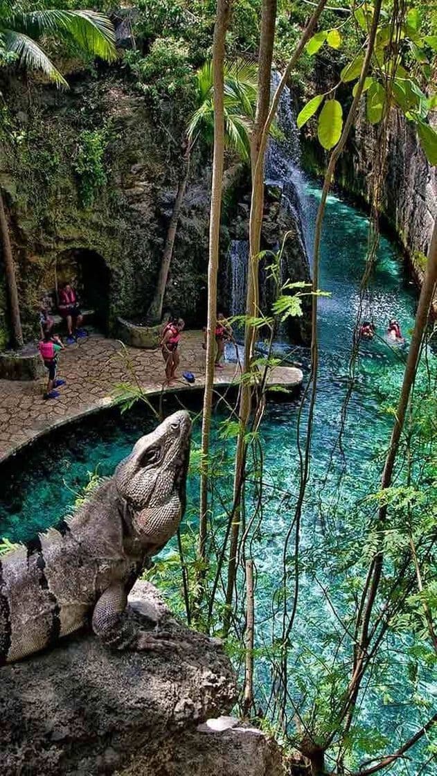 Place XCARET