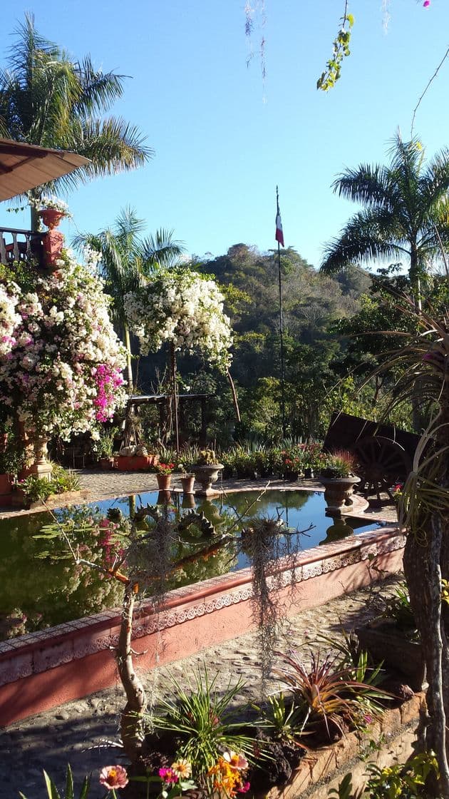 Place Vallarta Botanical Garden