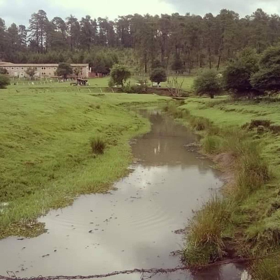 Place Las Piedrotas Tapalpa