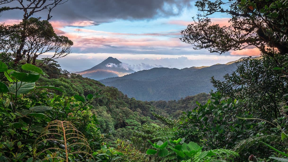 Lugar Monteverde