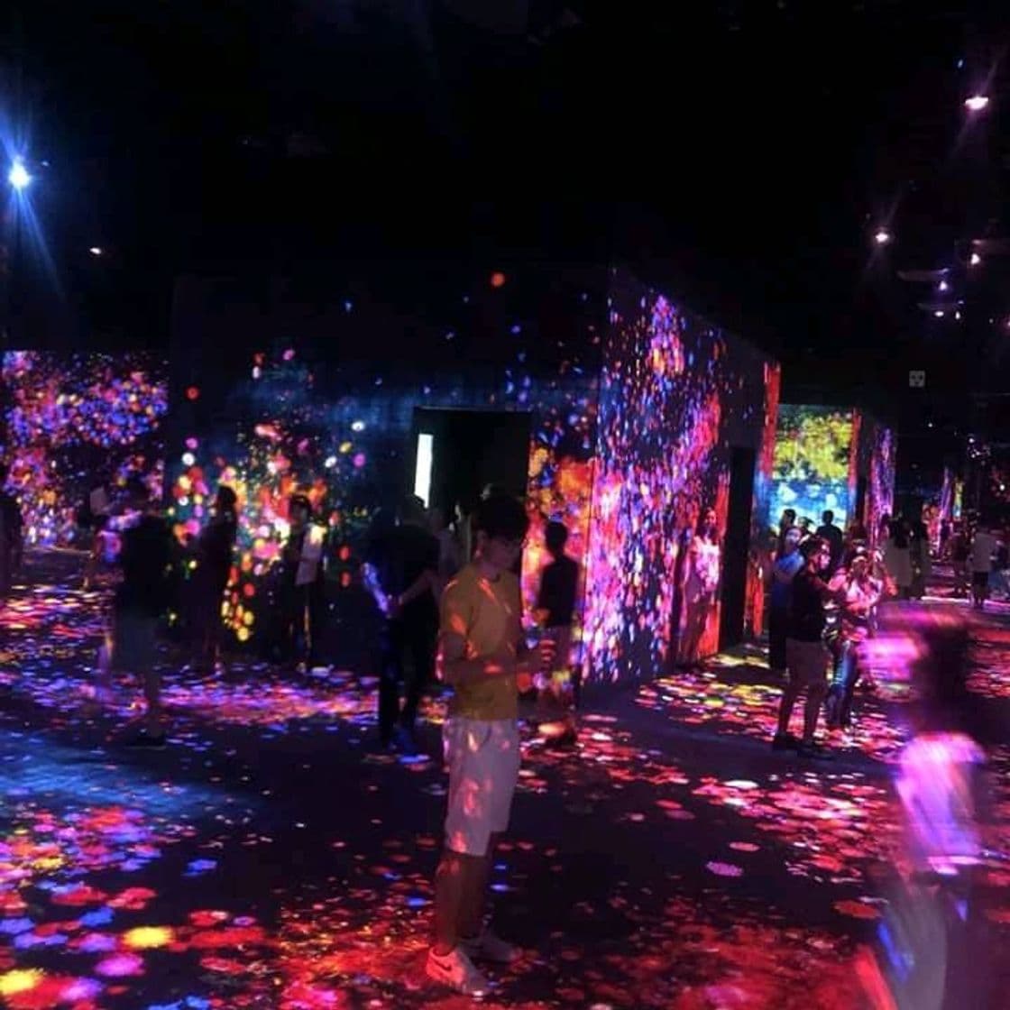 Lugar teamLab Borderless Tokyo: MORI Building DIGITAL ART MUSEUM