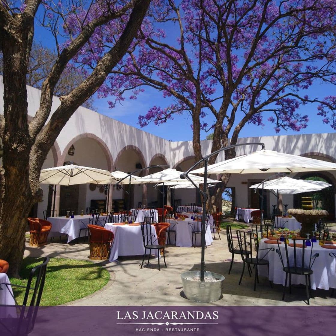 Restaurantes Las Jacarandas Hacienda Restaurante