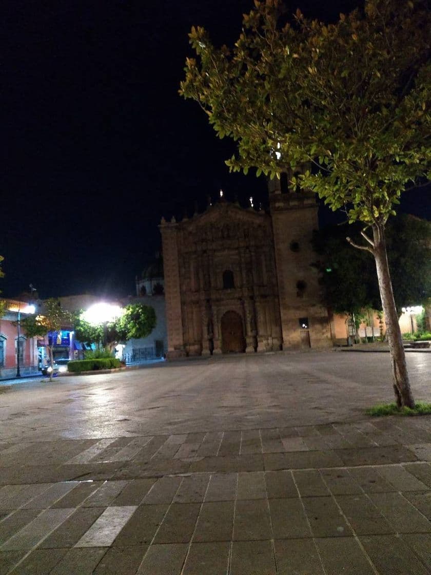 Lugar Plaza del Carmen