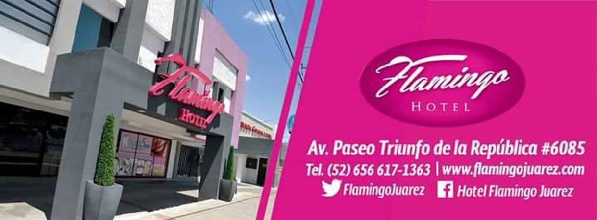 Place Hotel Flamingo