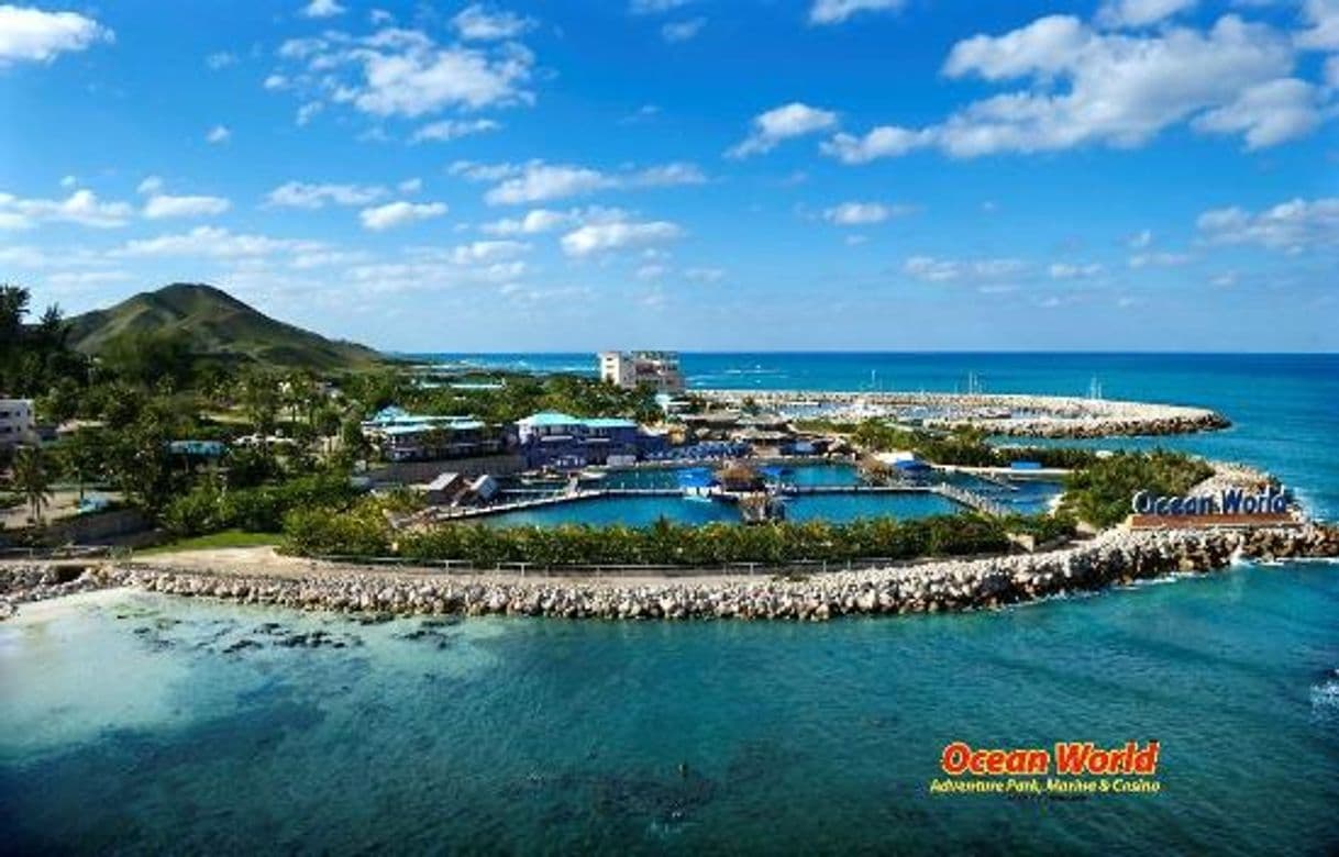 Place Ocean World Adventure Park, Puerto Plata