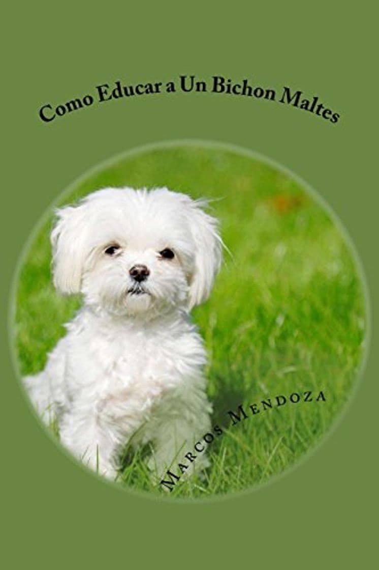 Producto Como Educar a Un Bichon Maltes