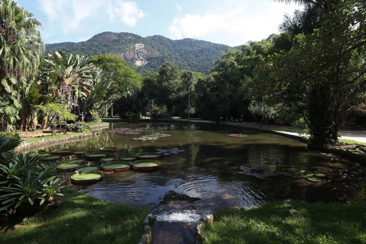 Place Jardim Botânico