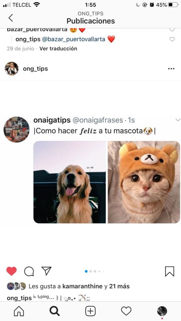 Fashion Cómo hacer feliz a tu mascota❤️