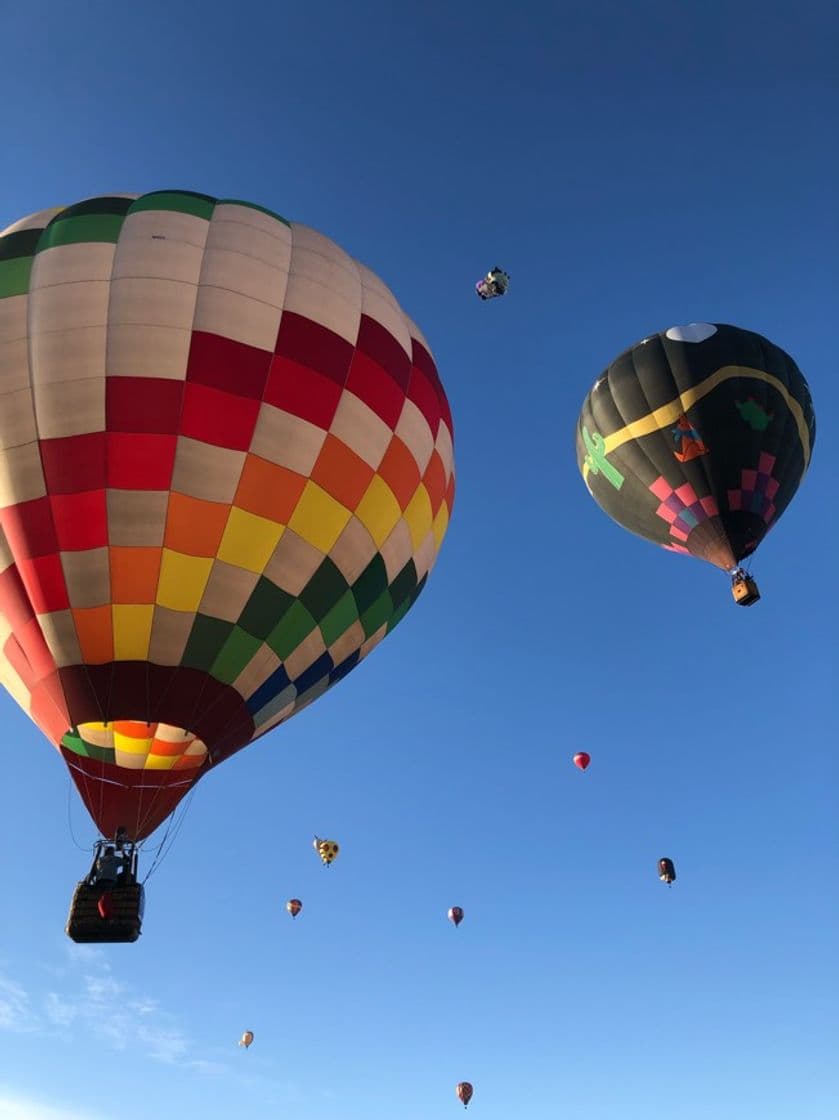 Lugar Oficinas Festival Internacional del Globo