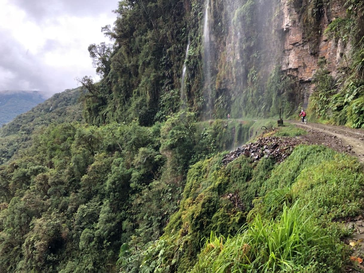 Place North Yungas Road