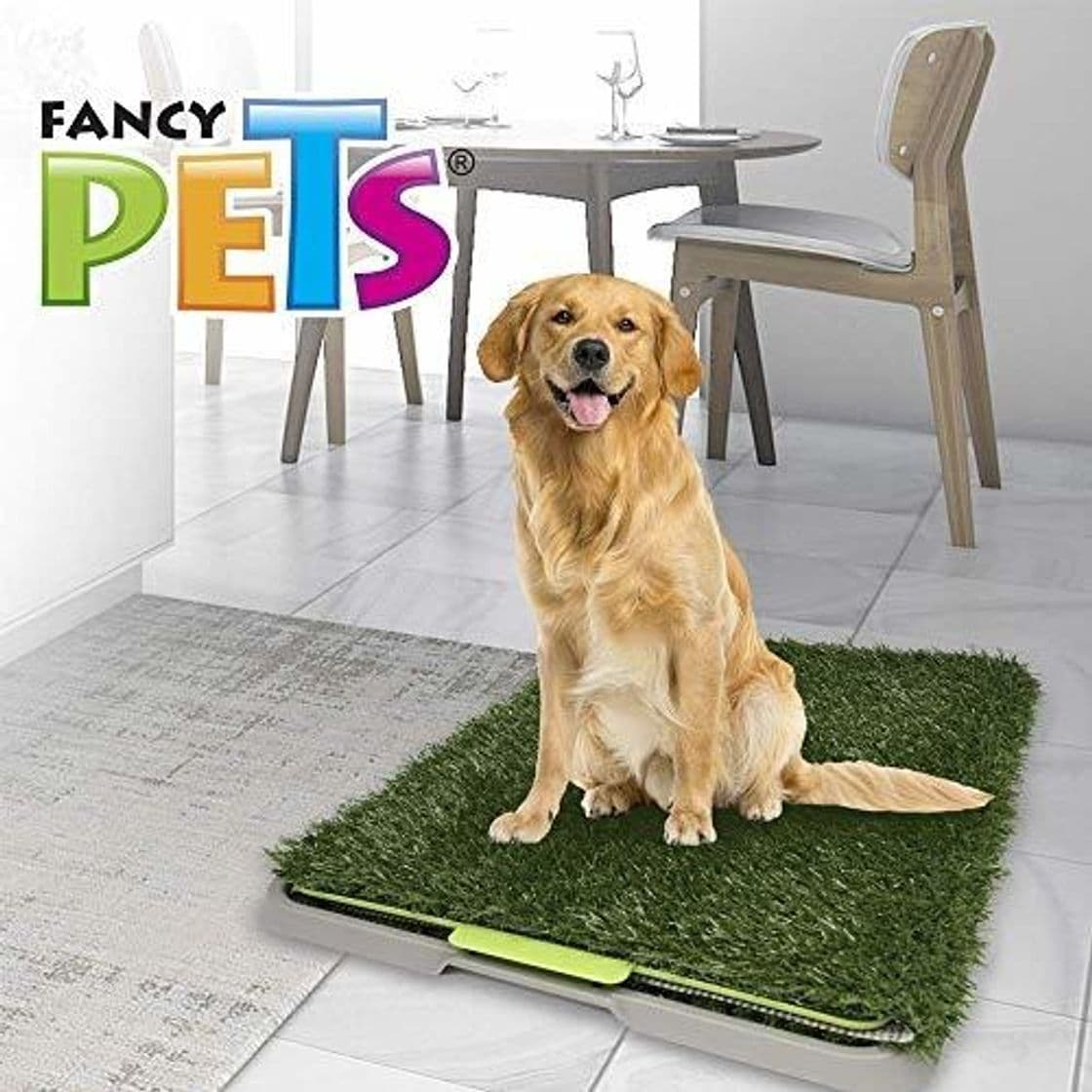 Fashion Fancy Pets Doggie Grass