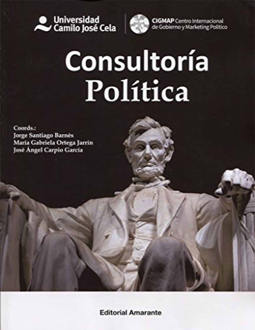 Book Consultoría Política